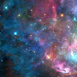 Meet your Posher, Eboni